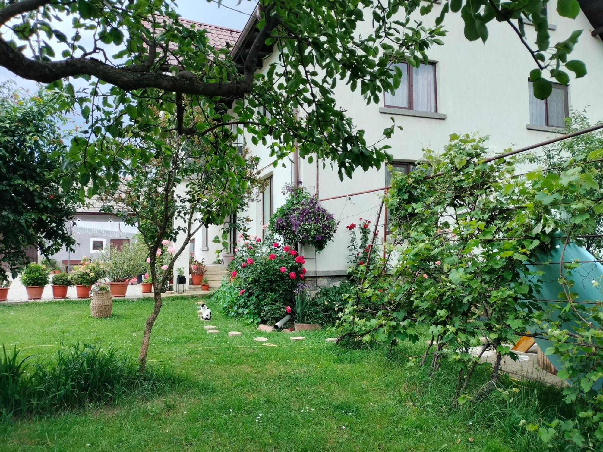 فندق Casa Cornelia برانْ المظهر الخارجي الصورة